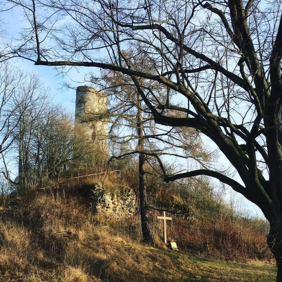 Ferienwohnungen Lausbuben & Zicken - Im Grunen Herzen Deutschlands Herleshausen Eksteriør billede